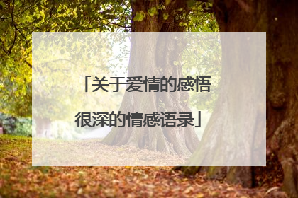 关于爱情的感悟很深的情感语录