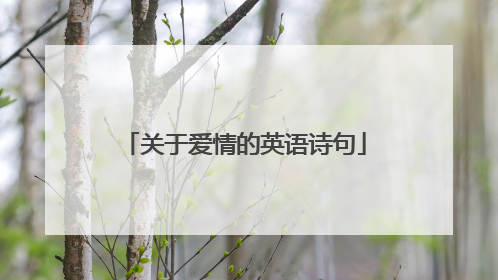 关于爱情的英语诗句