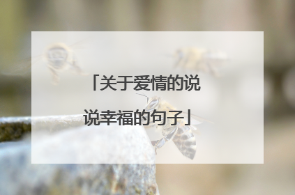 关于爱情的说说幸福的句子