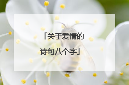 关于爱情的诗句八个字