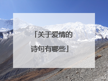 关于爱情的诗句有哪些