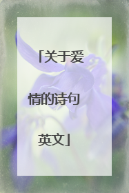 关于爱情的诗句英文