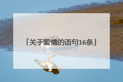 关于爱情的语句16条