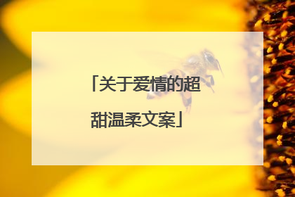 关于爱情的超甜温柔文案