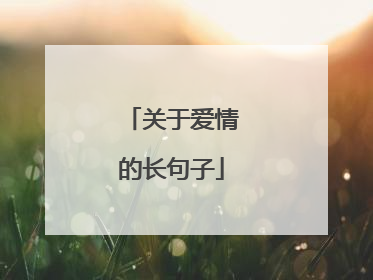 关于爱情的长句子