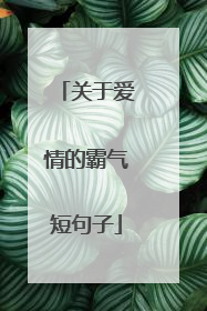 关于爱情的霸气短句子