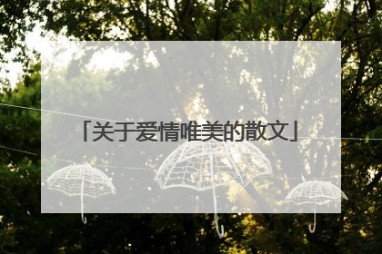 关于爱情唯美的散文