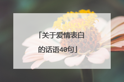 关于爱情表白的话语40句