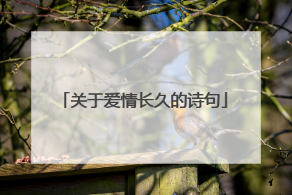 关于爱情长久的诗句