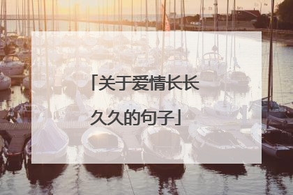 关于爱情长长久久的句子