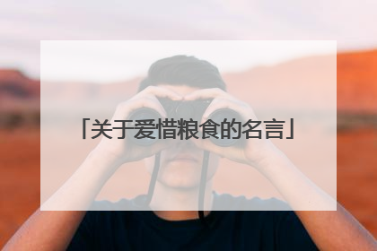 关于爱惜粮食的名言