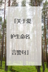 关于爱护生命名言警句