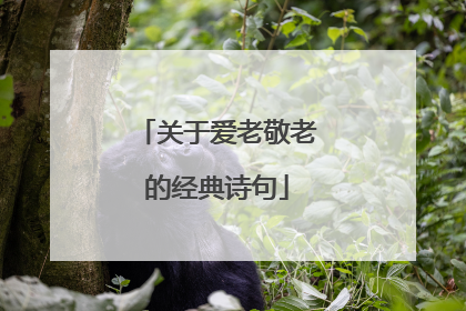 关于爱老敬老的经典诗句