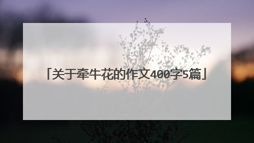 关于牵牛花的作文400字5篇