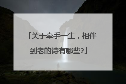 关于牵手一生，相伴到老的诗有哪些?