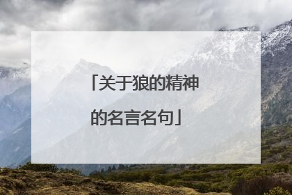 关于狼的精神的名言名句