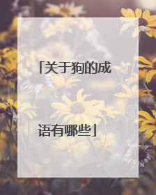 关于狗的成语有哪些