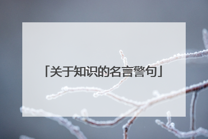 关于知识的名言警句