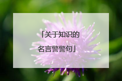关于知识的名言警警句