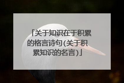 关于知识在于积累的格言诗句(关于积累知识的名言)
