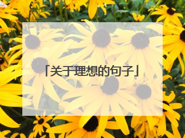 关于理想的句子