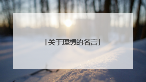 关于理想的名言