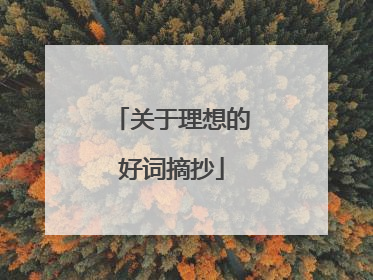 关于理想的好词摘抄