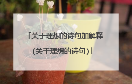 关于理想的诗句加解释(关于理想的诗句)