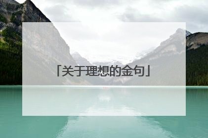 关于理想的金句