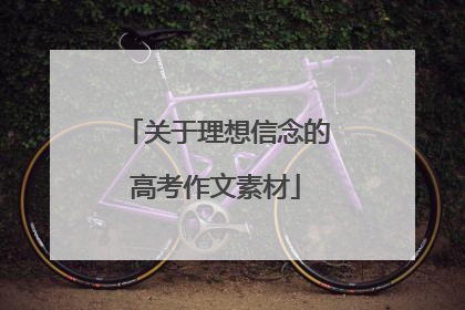 关于理想信念的高考作文素材