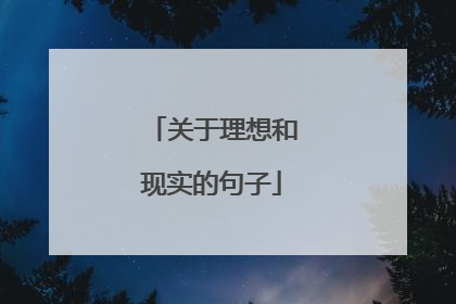 关于理想和现实的句子