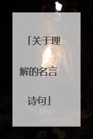 关于理解的名言诗句