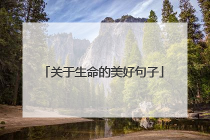 关于生命的美好句子