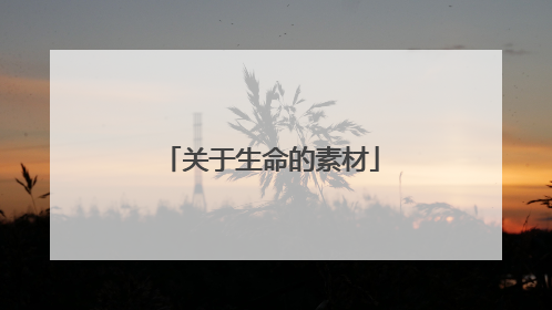 关于生命的素材