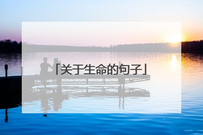 关于生命的句子