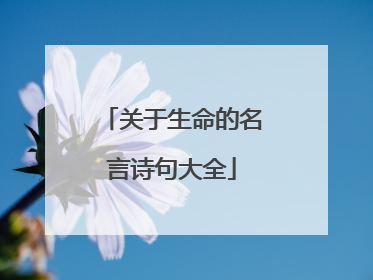 关于生命的名言诗句大全