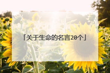 关于生命的名言20个