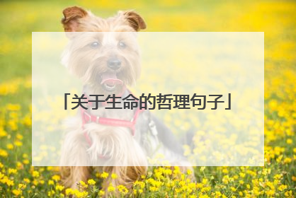 关于生命的哲理句子