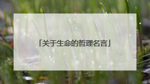 关于生命的哲理名言