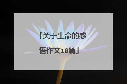 关于生命的感悟作文10篇