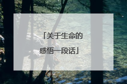 关于生命的感悟一段话