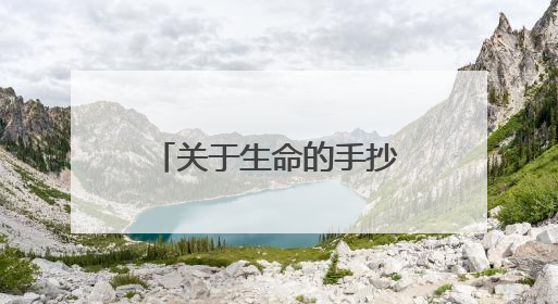 关于生命的手抄报的内容资料