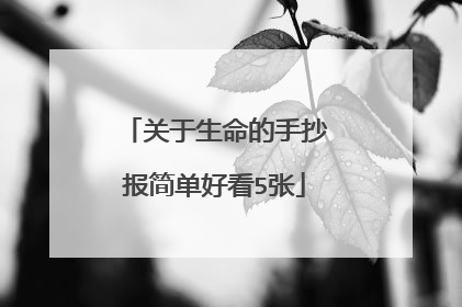 关于生命的手抄报简单好看5张