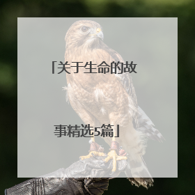 关于生命的故事精选5篇
