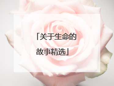 关于生命的故事精选