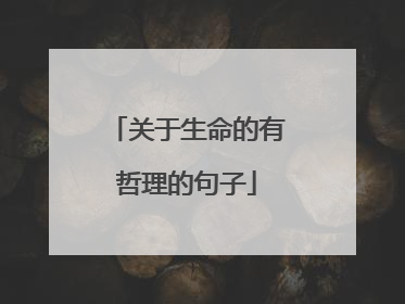 关于生命的有哲理的句子