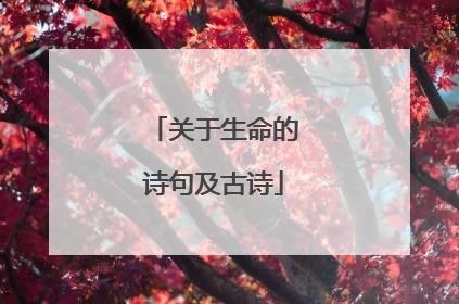 关于生命的诗句及古诗