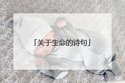 关于生命的诗句