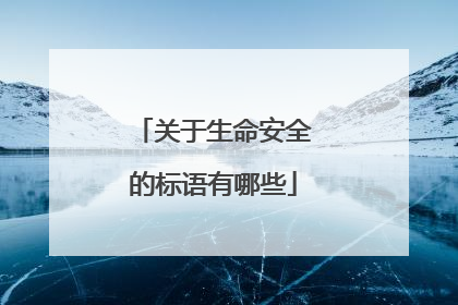 关于生命安全的标语有哪些