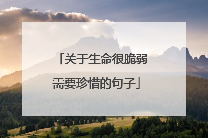 关于生命很脆弱需要珍惜的句子